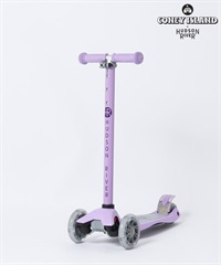 HUDSON RIVER ハドソンリバー キックボード CONEY ISLAND 2 コニー