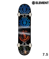 ELEMENT エレメント WIND WATER FIRE EARTH スケートボード