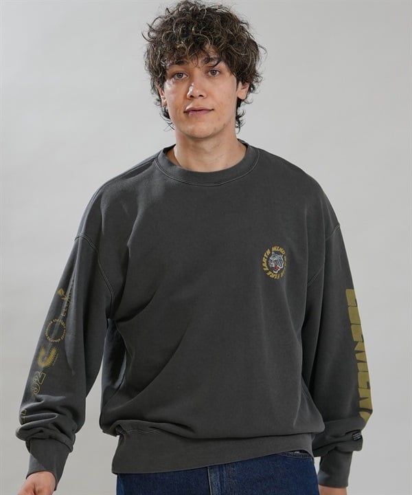 ELEMENT エレメント トレーナー スウェット メンズ 裏毛 TIGER CREW BG022P11