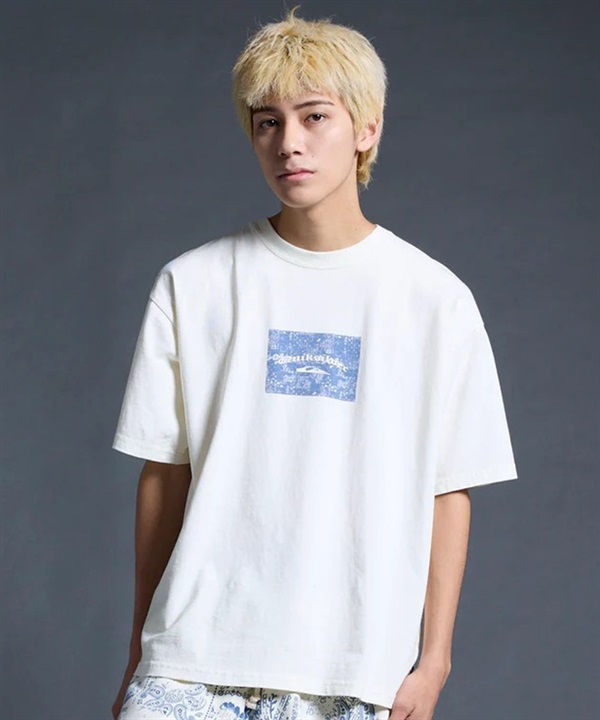 QUIKSILVER クイックシルバー 半袖 Tシャツ メンズ レディース ペイズリー柄 MERCURY PAISLEY BOX ST QST262014