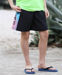 QUIKSILVER クイックシルバー 水着 トランクス ボードショーツ キッズ EVERYDAY HOLMES VOLLEY EQBJV03538(KVJ6-130cm)