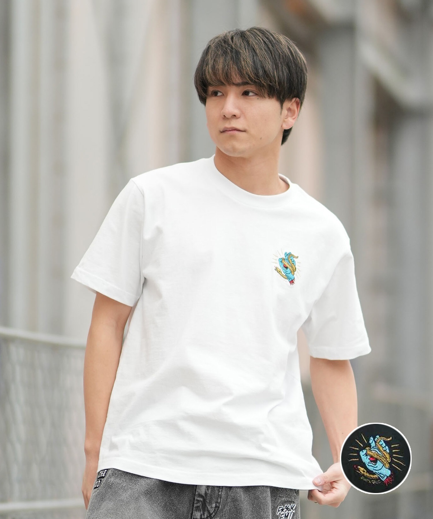 サンタナIV 完全生産限定Blu-ray+2枚組CD+Tシャツ　XLサイズ SANTA CRUZ サンタクルーズ 半袖 Tシャツ メンズ シンプル SNAKE BITE