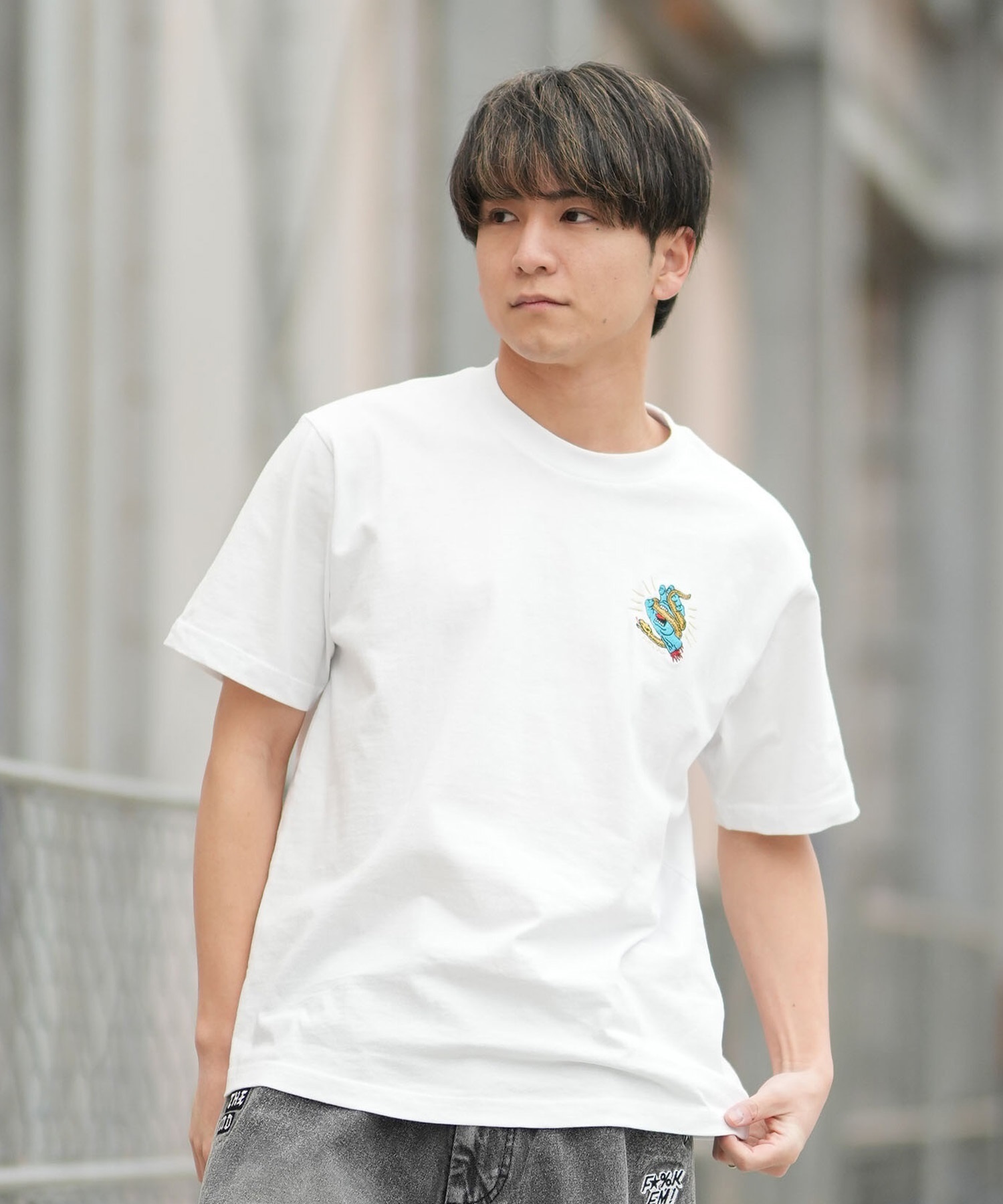 SANTA CRUZ サンタクルーズ 半袖 Tシャツ メンズ シンプル SNAKE BITE