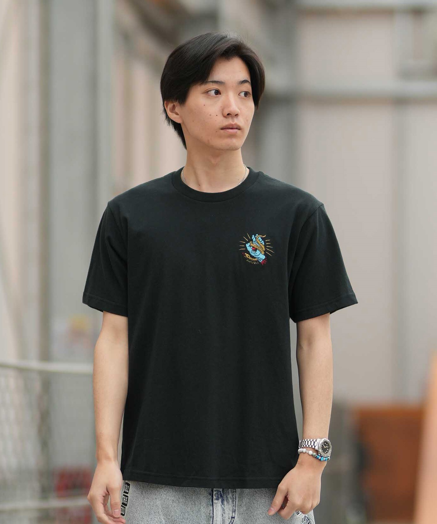 SANTA CRUZ サンタクルーズ 半袖 Tシャツ メンズ シンプル SNAKE BITE