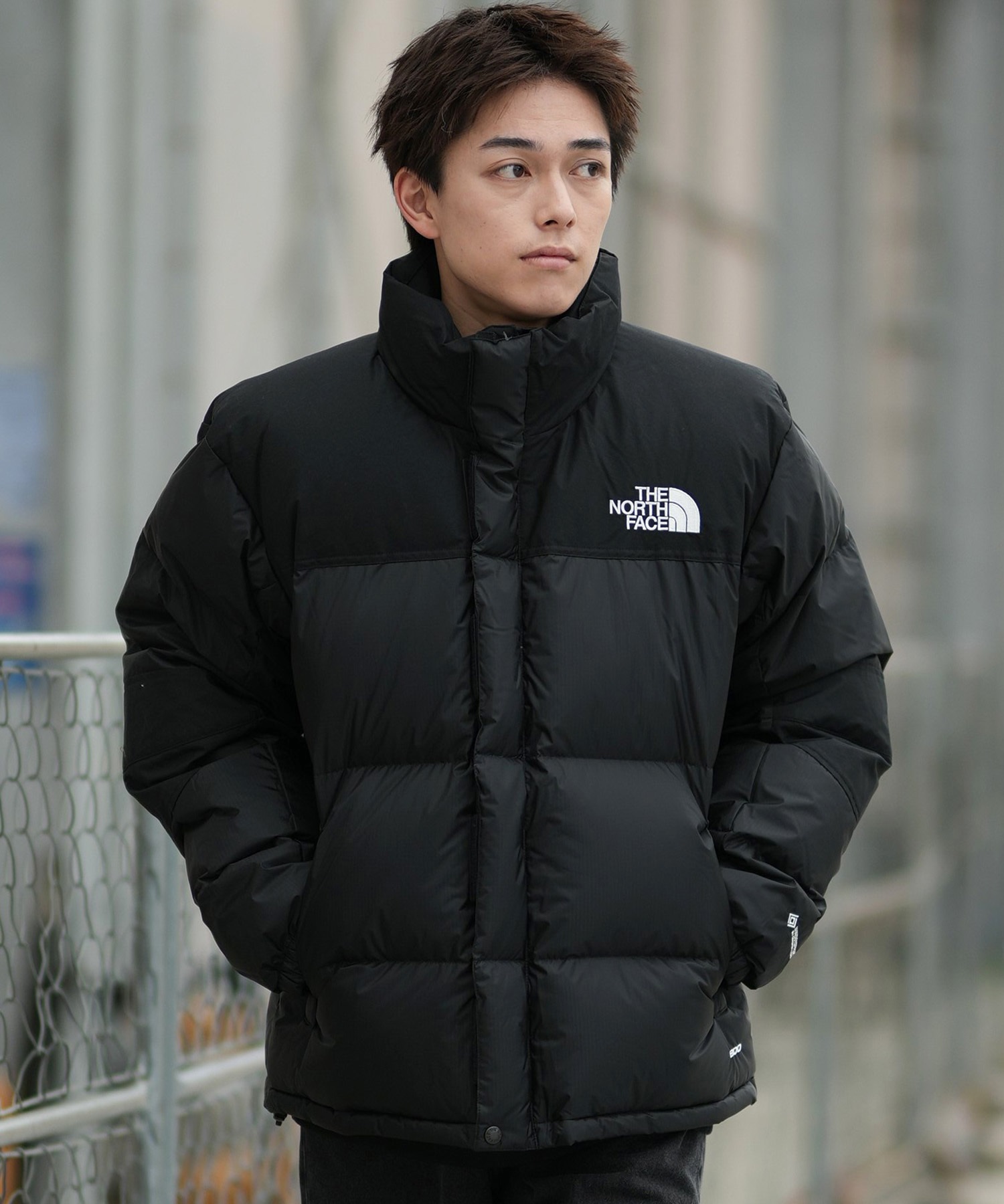 THE NORTH FACE ザ・ノース・フェイス ジャケット メンズ 中綿 WS