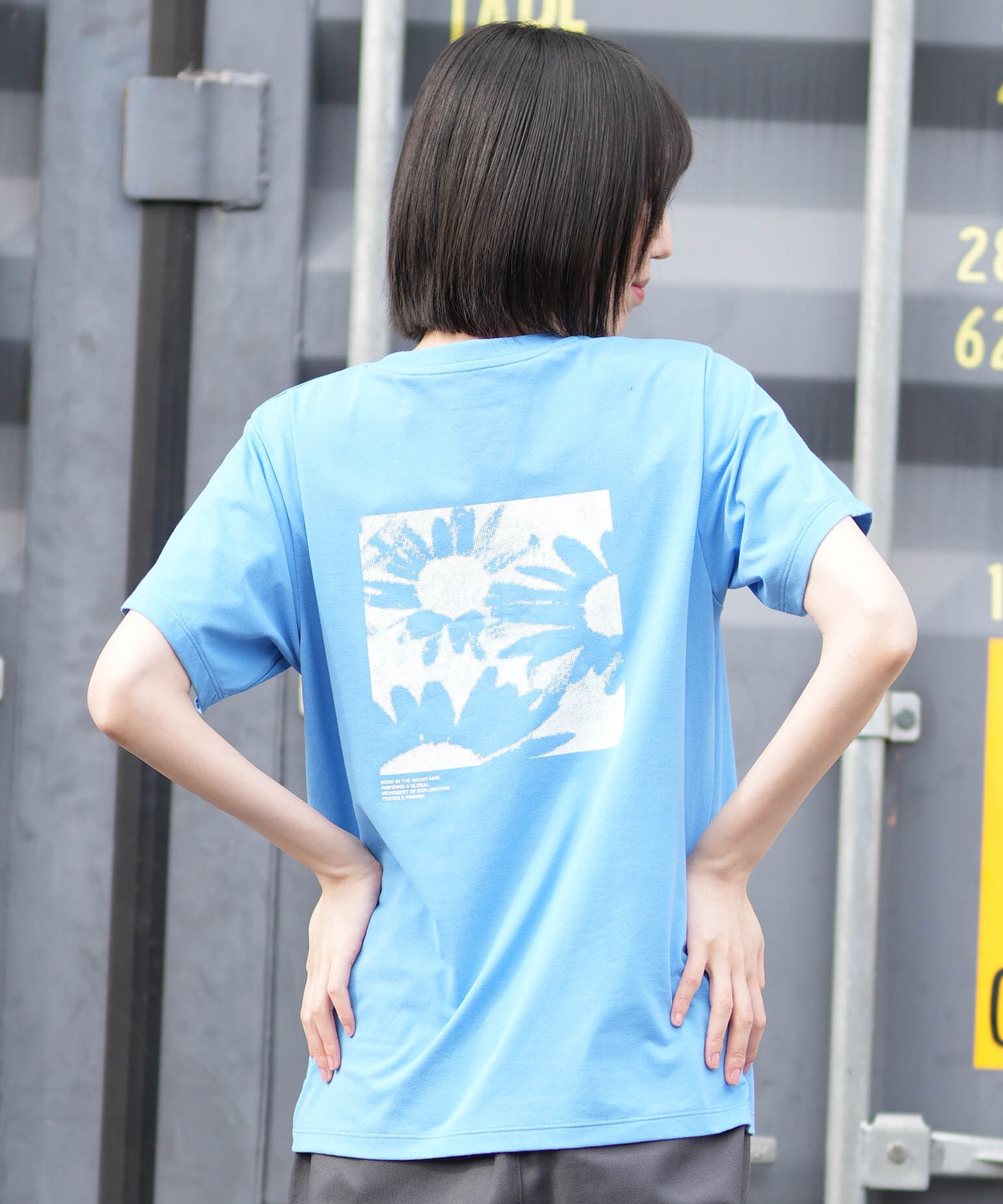 THE NORTH FACE ザ・ノース・フェイス 半袖 Tシャツ レディース バック