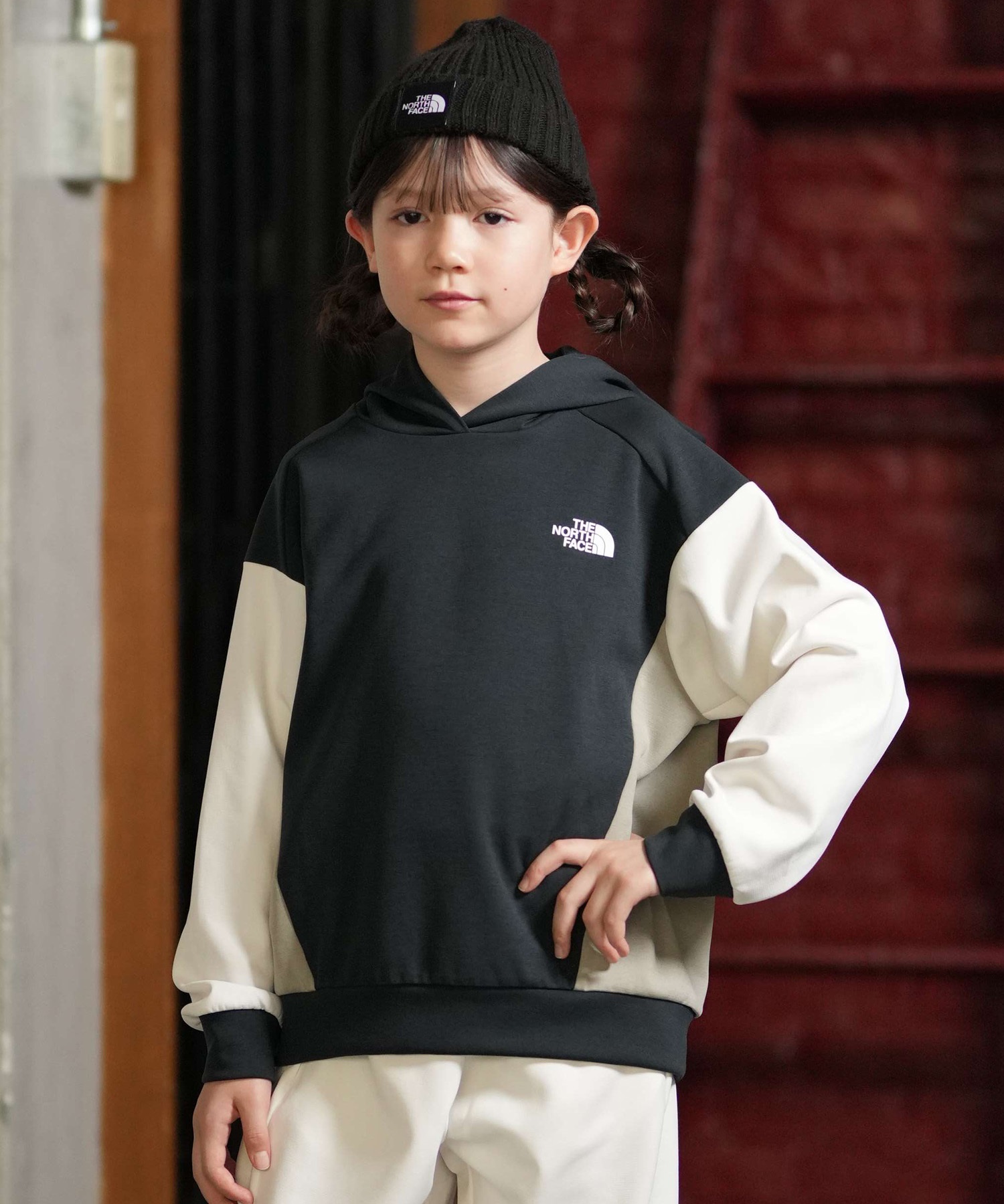 THE NORTH FACE ザ・ノース・フェイス プルオーバー パーカー