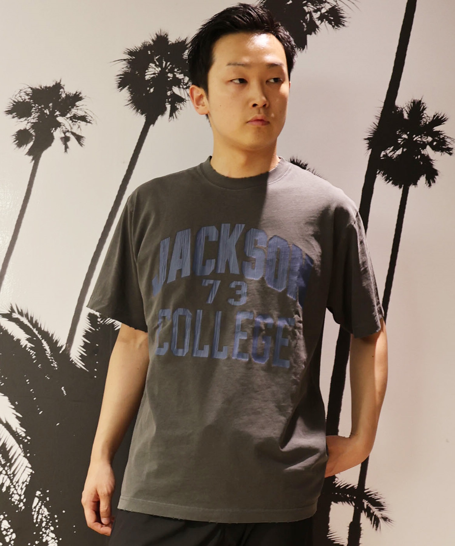 DEAR LAUREL ディアローレル × ジャクソンマティス 半袖 Tシャツ