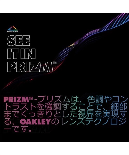 スノーボード ゴーグル OAKLEY オークリー OO7110-07 FLIGHT