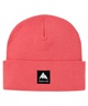 BURTON バートン スノーボード ビーニー ユニセックス ニット帽 RECYCLED KACTUSBUNCH TALL ムラサキスポーツ 24-25モデル LL L5(GLDR-ONESIZE)