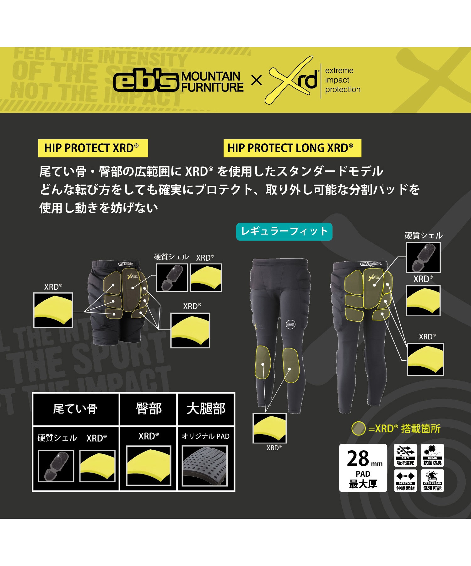 スノーボード プロテクター ロングパンツ ユニセックス eb