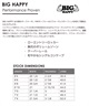CHANNEL ISLANDS チャネルアイランズ BIG HAPPY ビックハッピー サーフボード ショートボード ムラサキスポーツ(CLR-6.02ft)