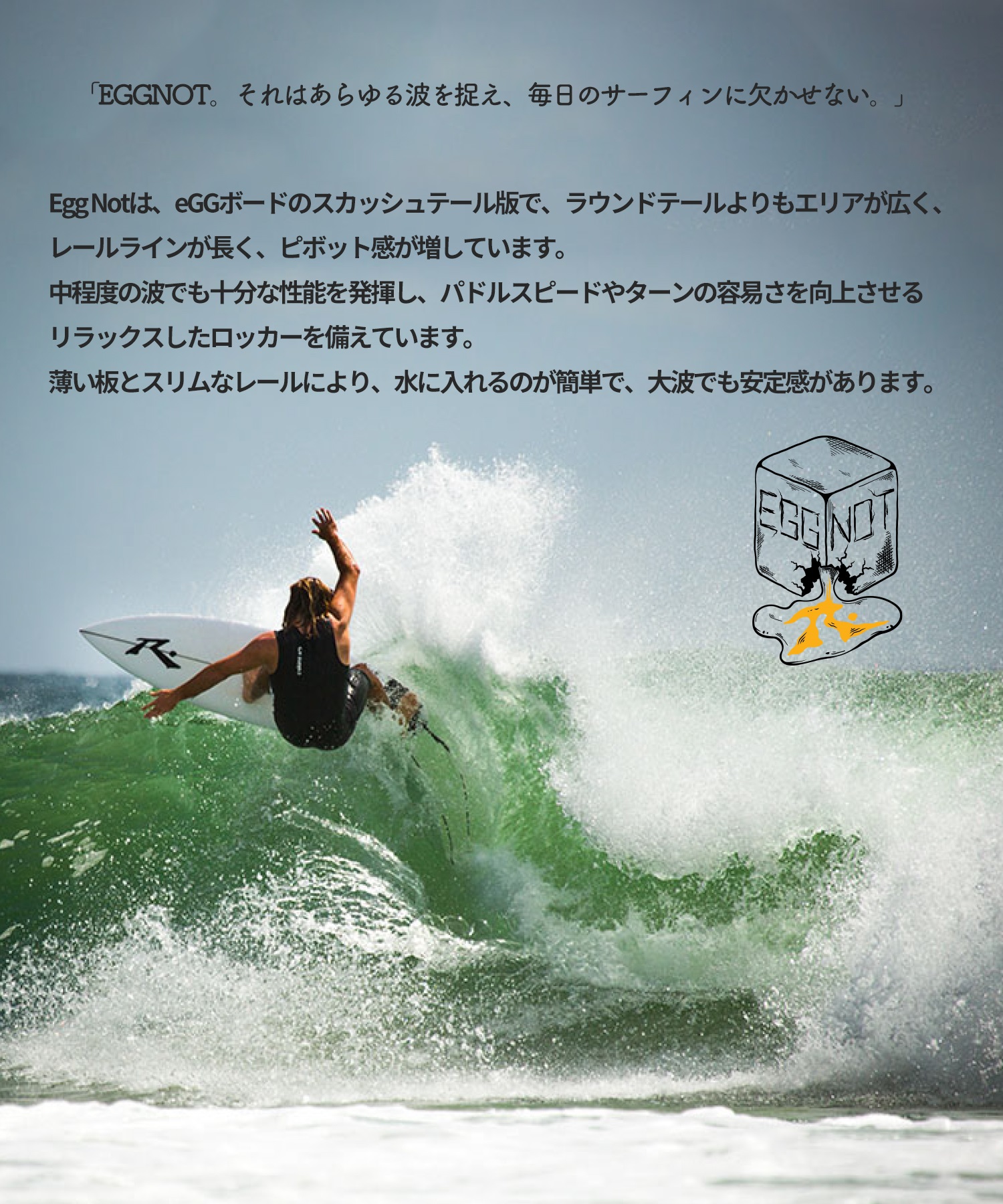 TORQ トルク RUSTY EGG NOT ラスティー エッグノット ACT TORQ トルク RUSTY EGG NOT ラスティー エッグノット ACT