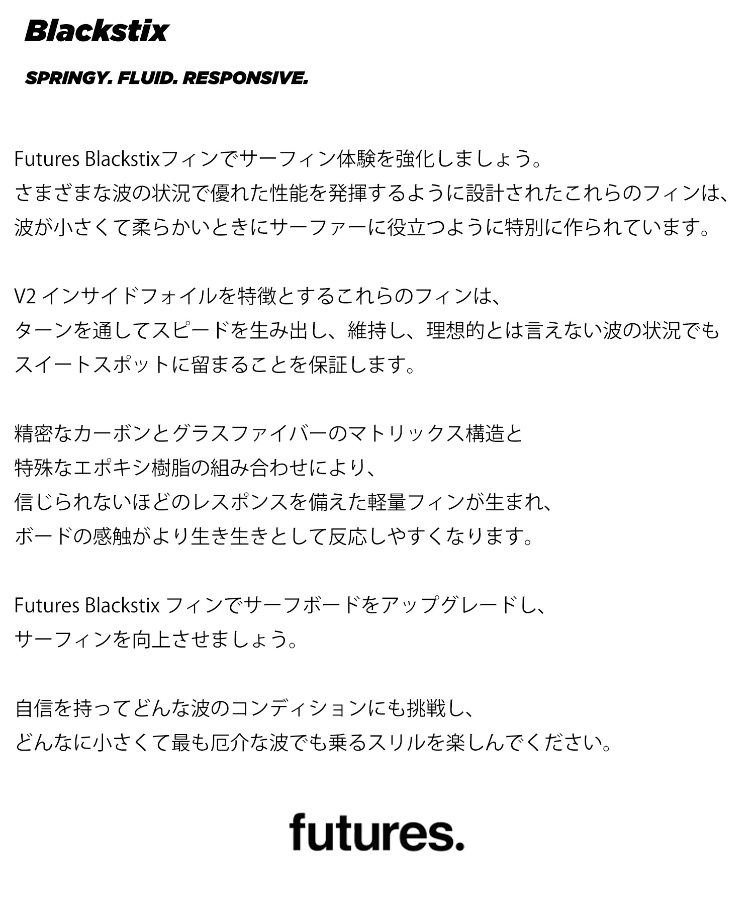FUTURE フューチャー BLACKSTIX Rシリーズ RAKE ブラック