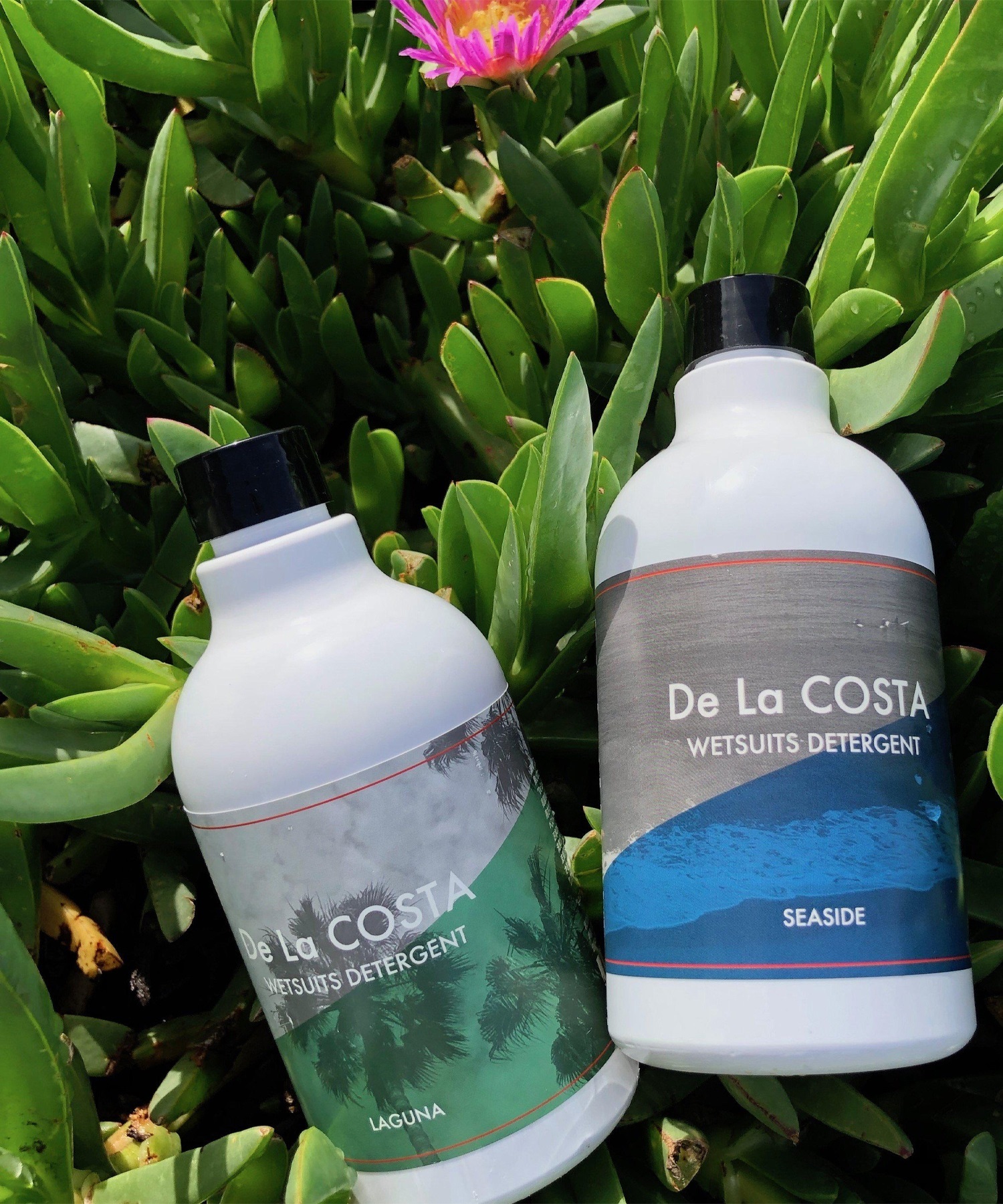 De La COSTA WET SHAMPOO ウェットスーツシャンプー ムラサキスポーツ(BLE-ONESIZE)