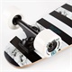 ロング スケートボード コンプリート SECTOR 9 セクターナイン THRUSTER SERIES TS20SD01(SPLSB-30)