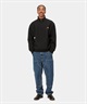 Carhartt/カーハート HALF ZIP AMERICAN SCRIPT アメリカンスクリプト メンズ ハーフジップ スウェット トレーナー 裏起毛 ブラック I027014(BLACK-S)