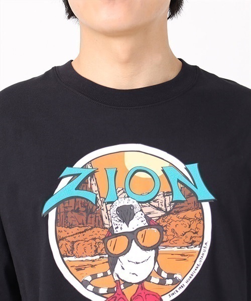 【マトメガイ対象】CHUMS チャムス Oversized ZION Souvenir CHUMS T-Shirt DESI CH01-2183 メンズ 半袖 Tシャツ KK1  F12(WT-M)