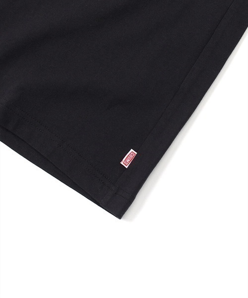 CHUMS チャムス Oversized ZION Souvenir CHUMS T-Shirt DESI CH01-2183 メンズ 半袖 Tシャツ KK1  F12(WT-M)