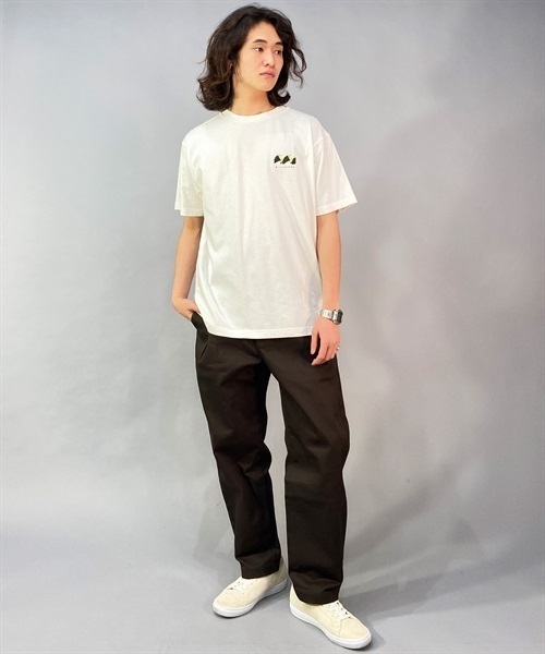 BILLABONG ビラボン BACK WAVE BD011-208 メンズ 半袖 Tシャツ バックプリント KX1 B23(BLK-M)