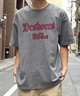 【クーポン対象】DC ディーシー メンズ 半袖 Tシャツ ドロップショルダー ピグメント加工 DST242014(BKD-M)