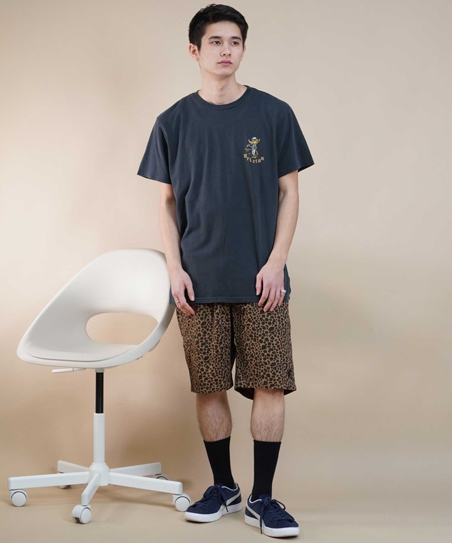 BRIXTON ブリクストン メンズ 半袖 Tシャツ バックプリント 古着風 