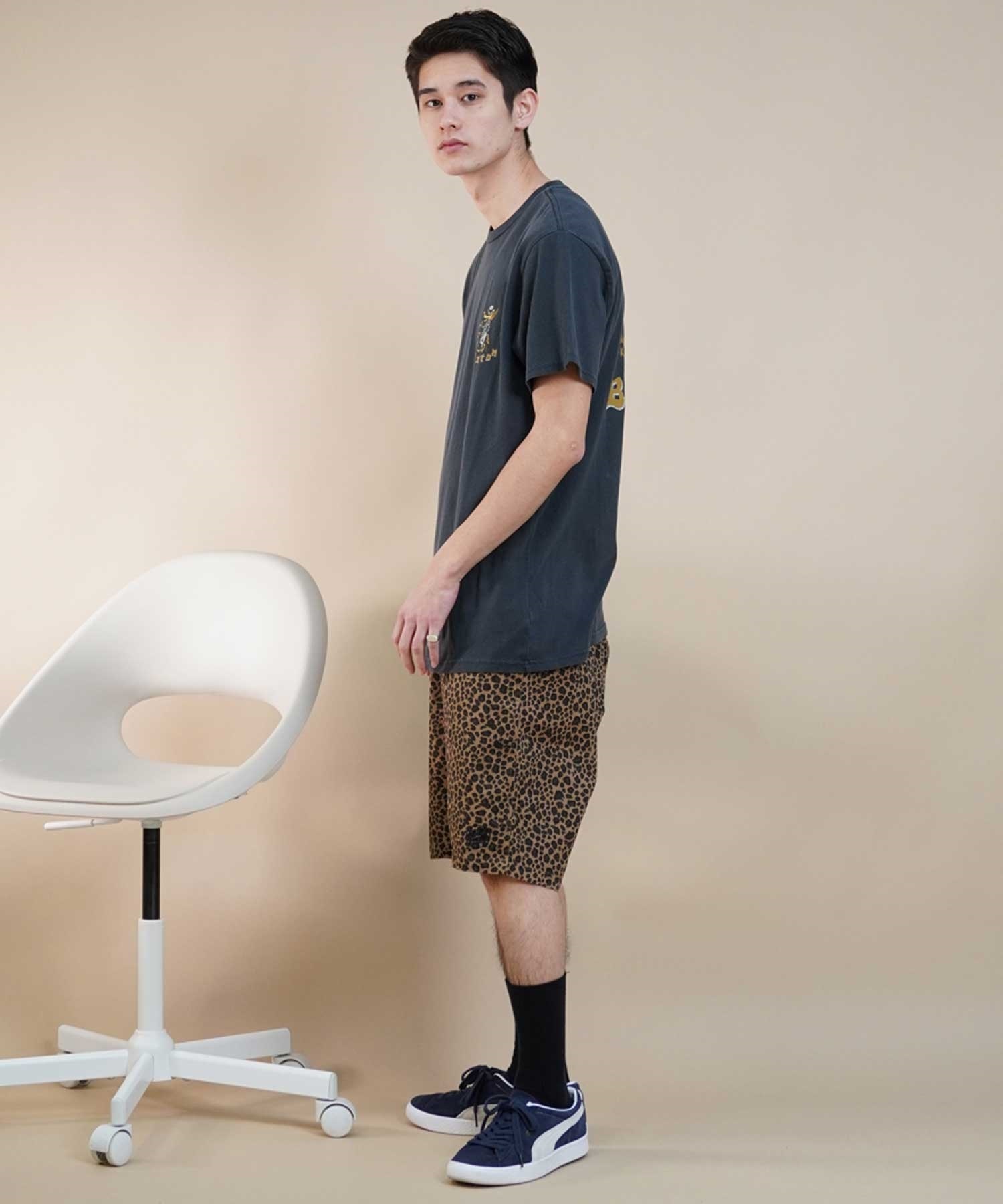 BRIXTON ブリクストン メンズ 半袖 Tシャツ バックプリント 古着風