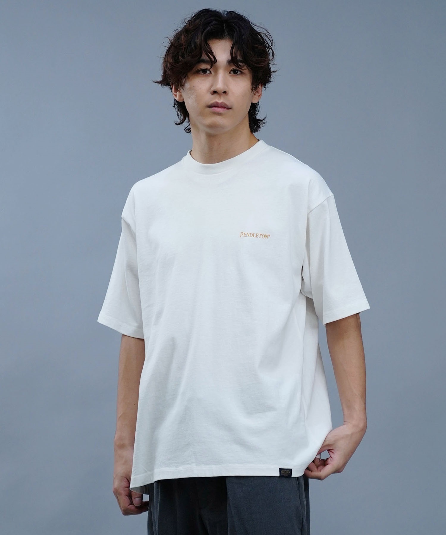 PENDLETON ペンドルトン メンズ 半袖 Tシャツ バックプリント DESI