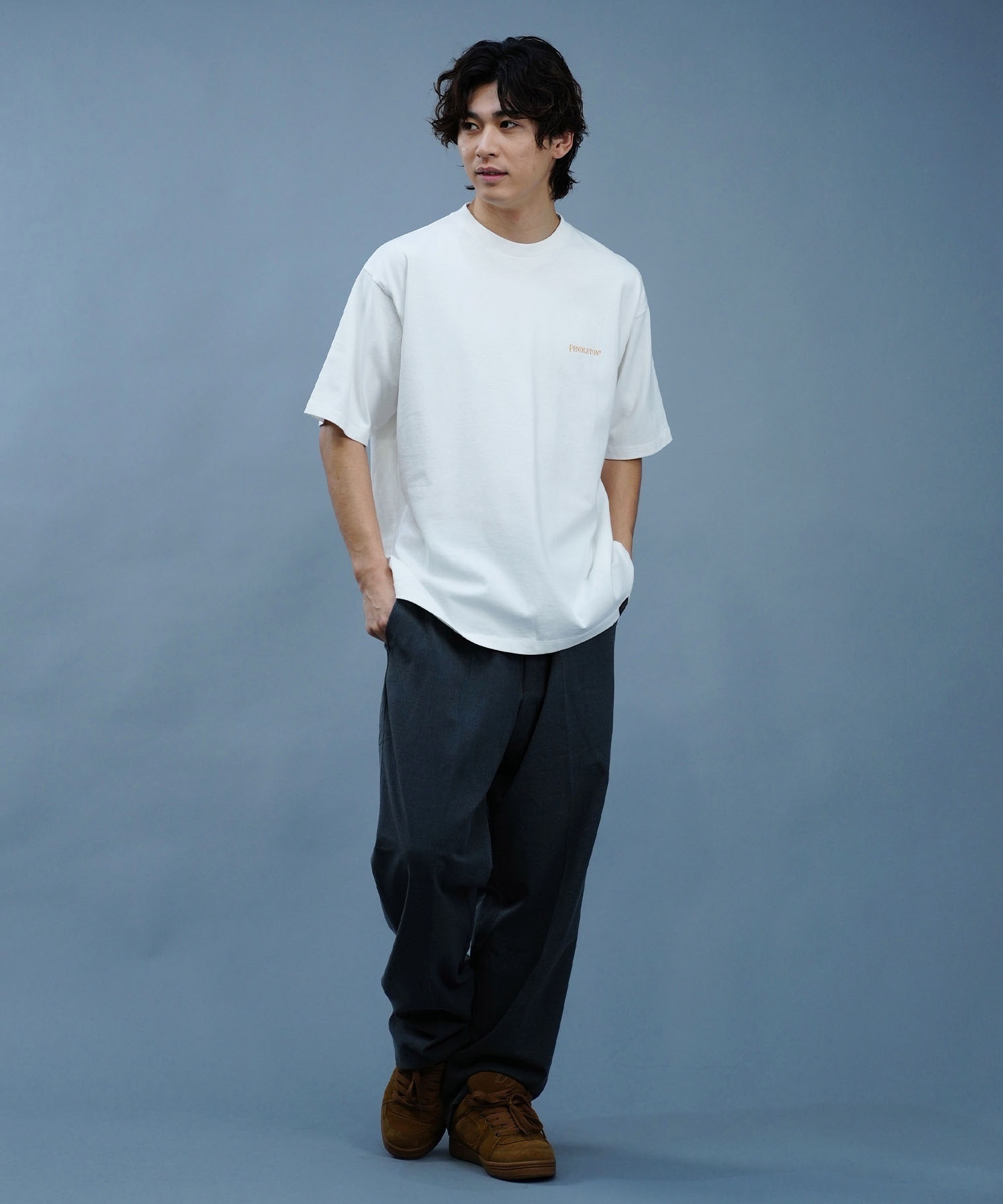PENDLETON ペンドルトン メンズ 半袖 Tシャツ バックプリント DESI