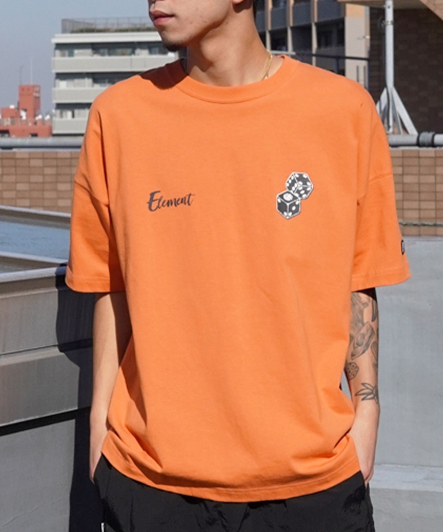 ELEMENT エレメント メンズ 半袖 Tシャツ オーバーサイズ ダイスロゴ バックプリント サイコロモチーフ ヴィンテージ風 かすれプリント BE021-252(GRN-M)
