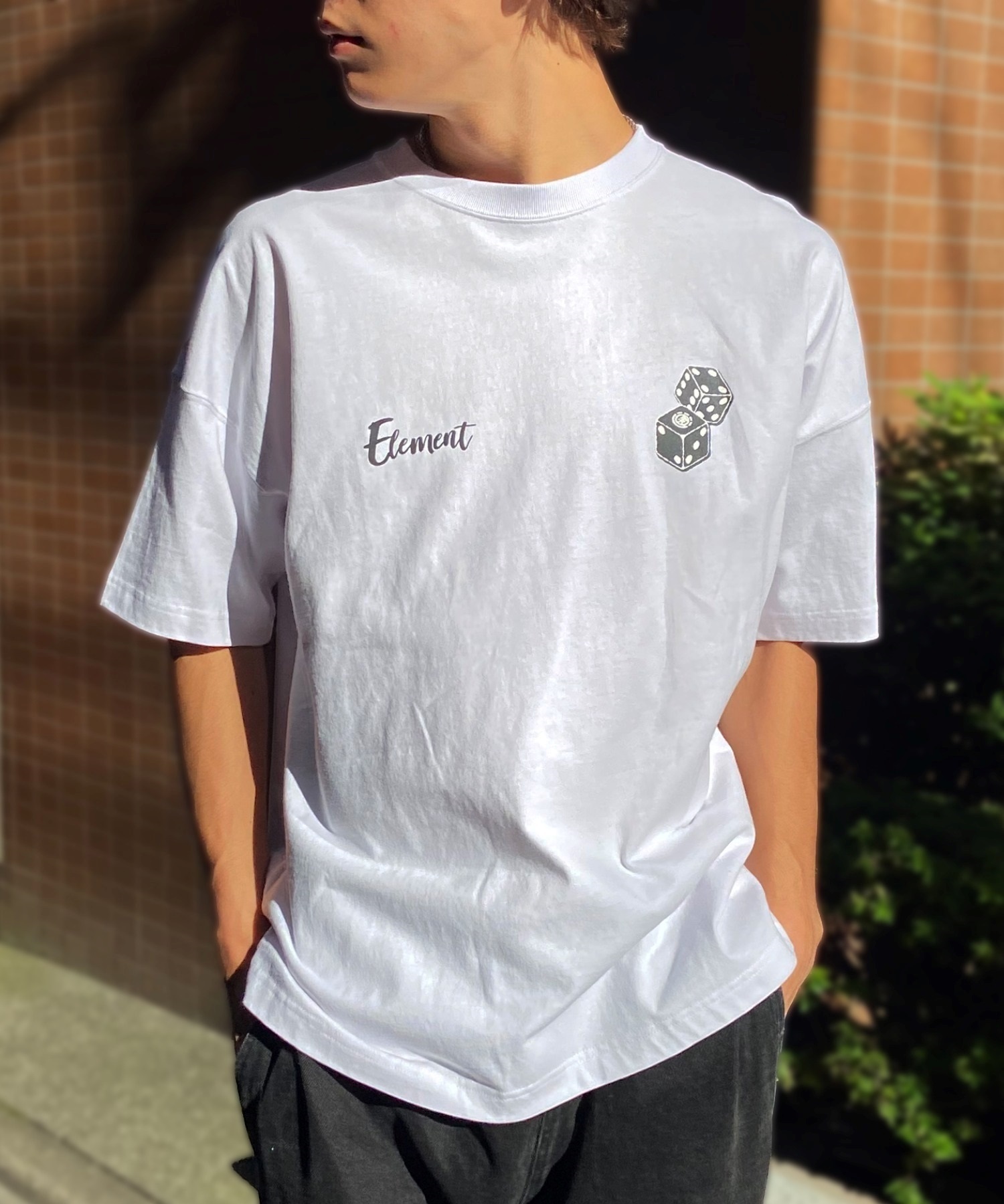 ELEMENT エレメント メンズ 半袖 Tシャツ オーバーサイズ ダイスロゴ バックプリント サイコロモチーフ ヴィンテージ風 かすれプリント BE021-252(GRN-M)