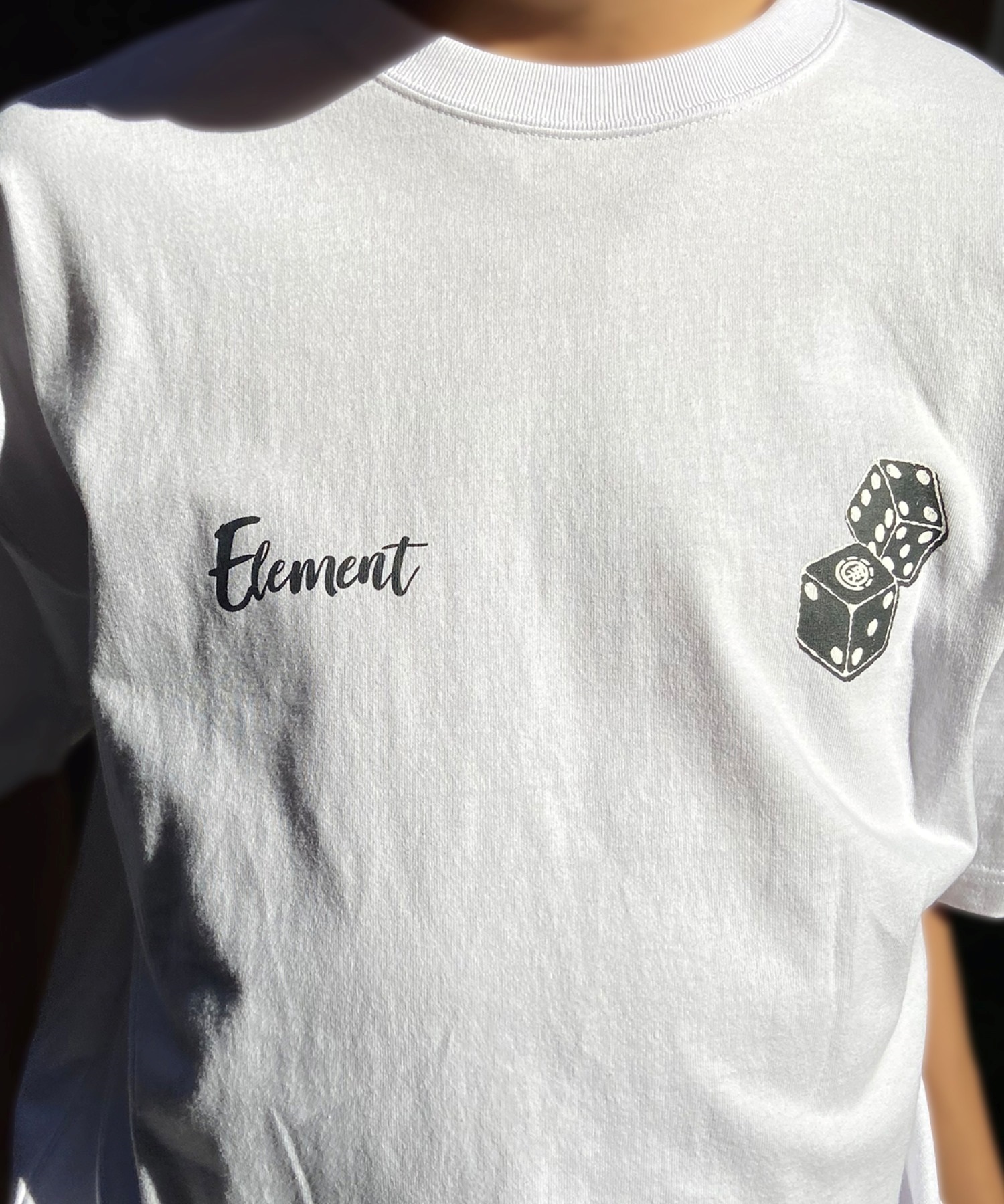 ELEMENT エレメント メンズ 半袖 Tシャツ オーバーサイズ ダイスロゴ バックプリント サイコロモチーフ ヴィンテージ風 かすれプリント BE021-252(GRN-M)