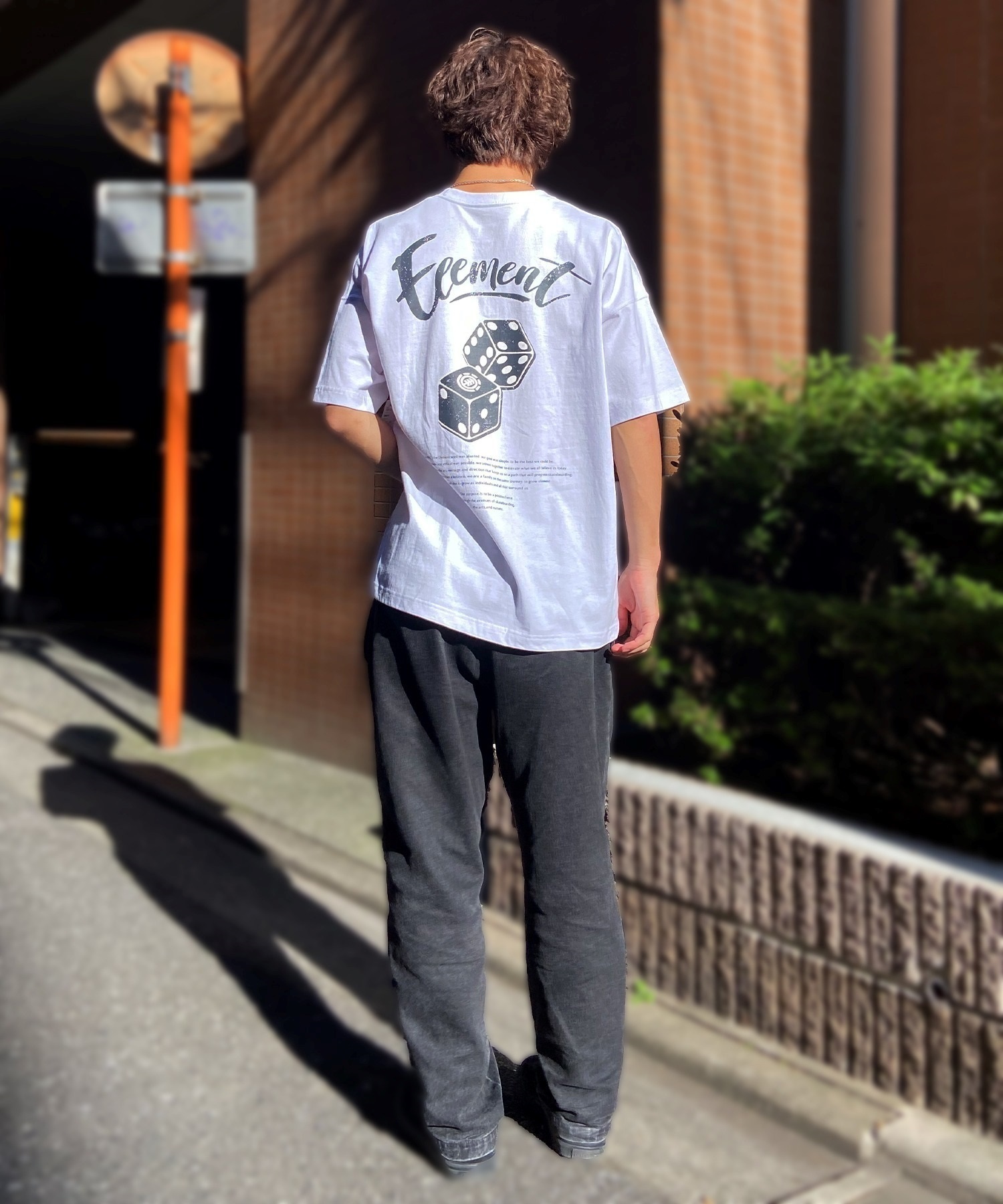 ELEMENT エレメント メンズ 半袖 Tシャツ オーバーサイズ ダイスロゴ バックプリント サイコロモチーフ ヴィンテージ風 かすれプリント BE021-252(GRN-M)