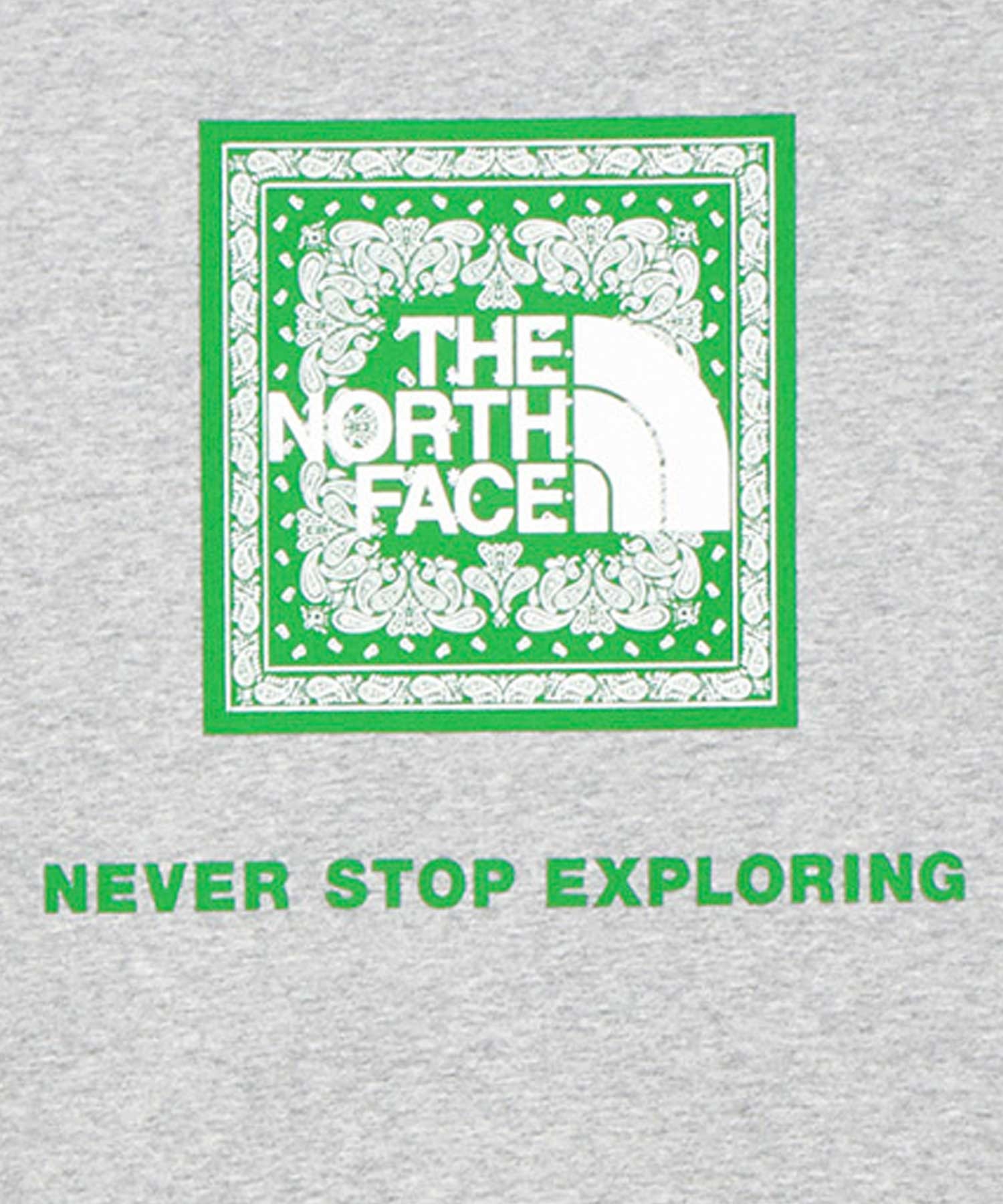 THE NORTH FACE ザ・ノース・フェイス メンズ 半袖 Tシャツ レギュラーシルエット バンダナ スクエアロゴ NT32446(Z-S)
