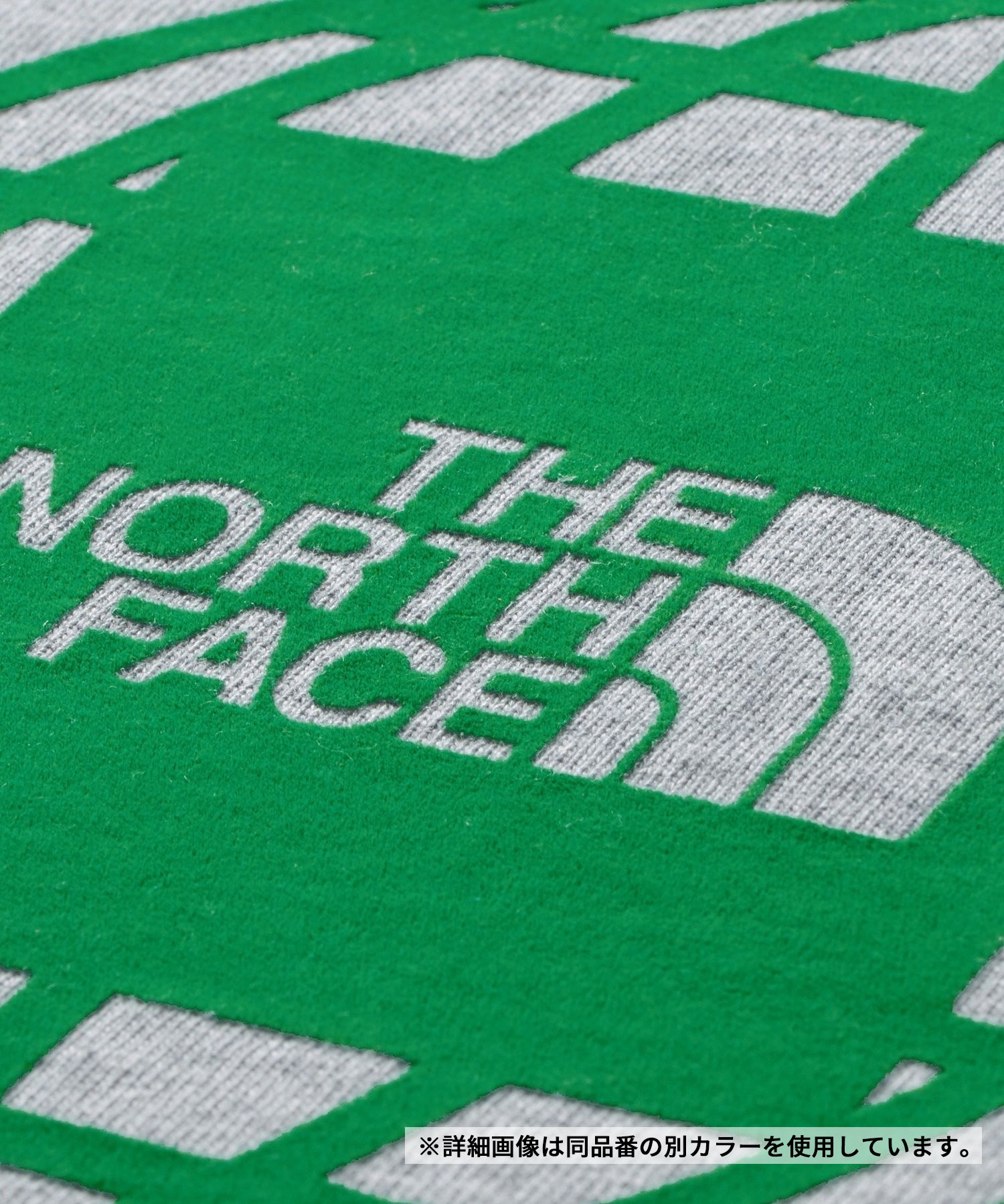 THE NORTH FACE ザ・ノース・フェイス メンズ Tシャツ 半袖 ジオ