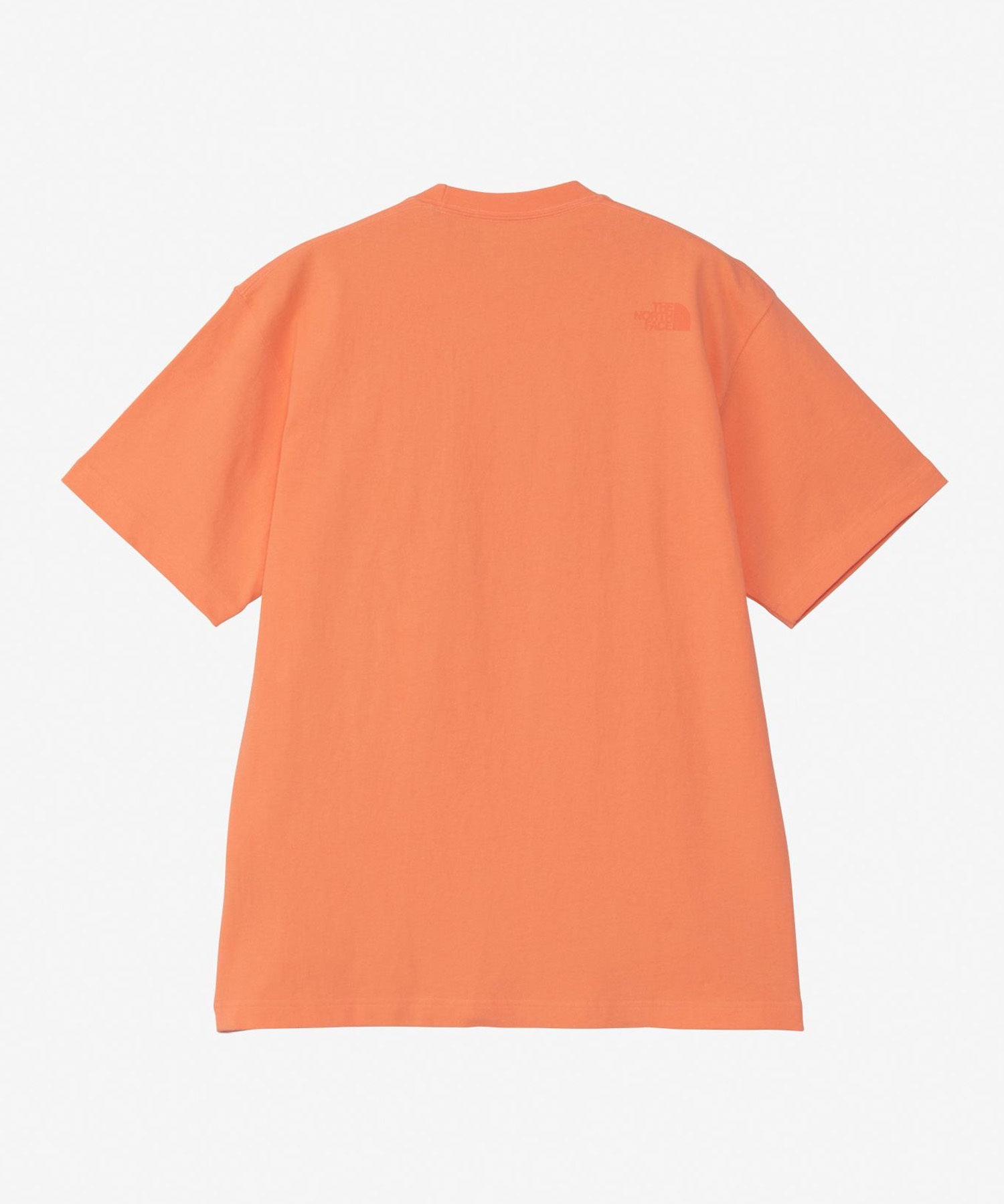 THE NORTH FACE ザ・ノース・フェイス メンズ Tシャツ 半袖 ショート