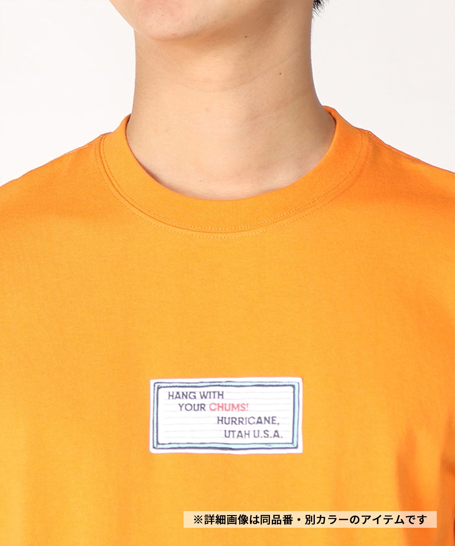 CHUMS チャムス CHUMS Factory T-Shirt チャムス ファクトリー Tシャツ メンズ 半袖 クルーネック CH01-2352 9
