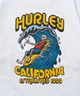 Hurley ハーレー BIG WAVE HEAVY WEIGHT SHORT SLEEVE TEE メンズ 半袖 Tシャツ 24MRSMSS01(BLK-S)