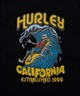 Hurley ハーレー BIG WAVE HEAVY WEIGHT SHORT SLEEVE TEE メンズ 半袖 Tシャツ 24MRSMSS01(BLK-S)