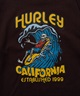 Hurley ハーレー BIG WAVE HEAVY WEIGHT SHORT SLEEVE TEE メンズ 半袖 Tシャツ 24MRSMSS01(BLK-S)