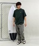 Hurley ハーレー スカルヘッド バックプリント ヘビーウェイト メンズ ショートスリーブ ティー 24MRSMSS05(DFR-S)