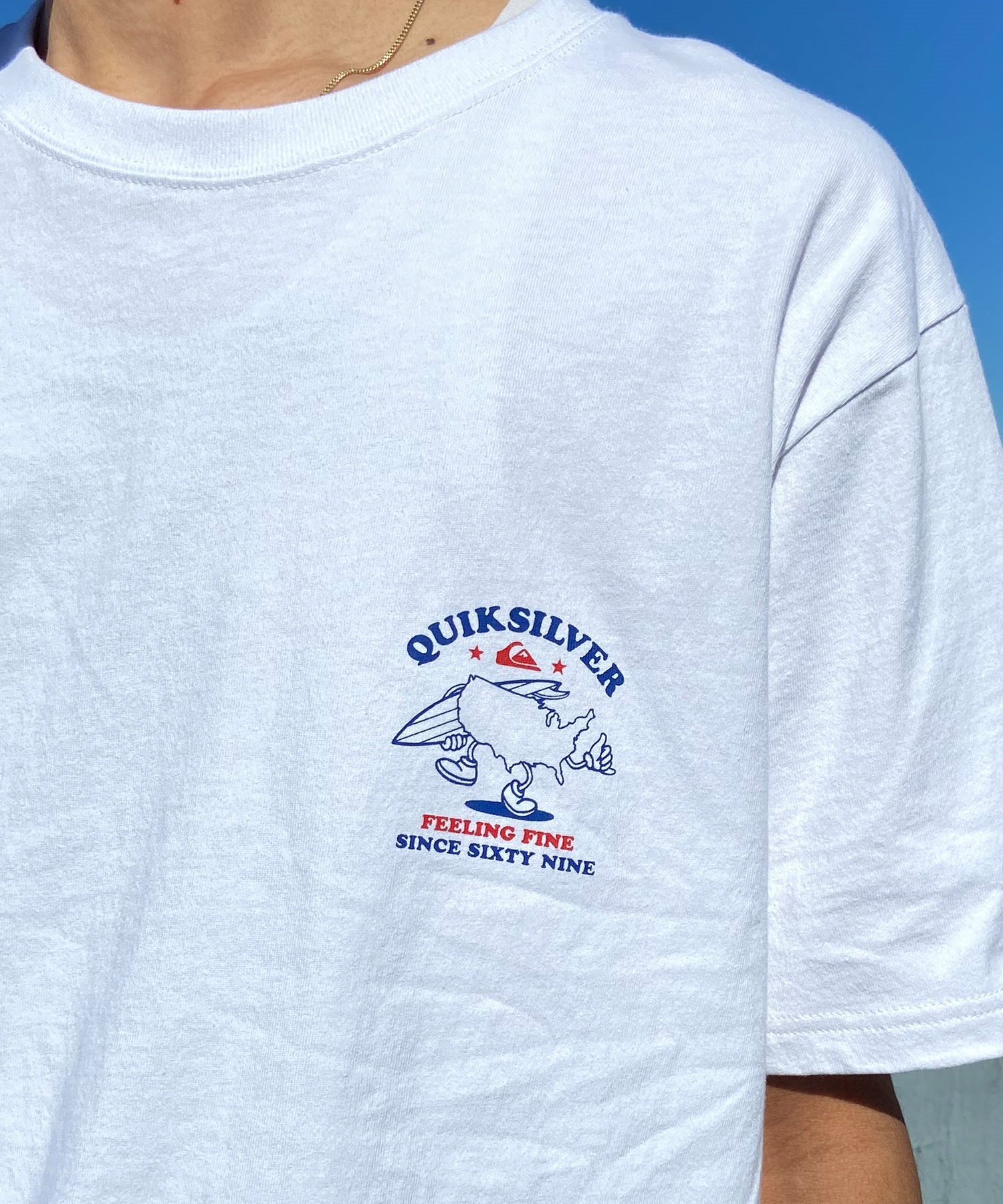 QUIKSILVER クイックシルバー メンズ Ｔシャツ 半袖 バックプリント クルーネック レギュラーフィット QST242002(WHT-M)