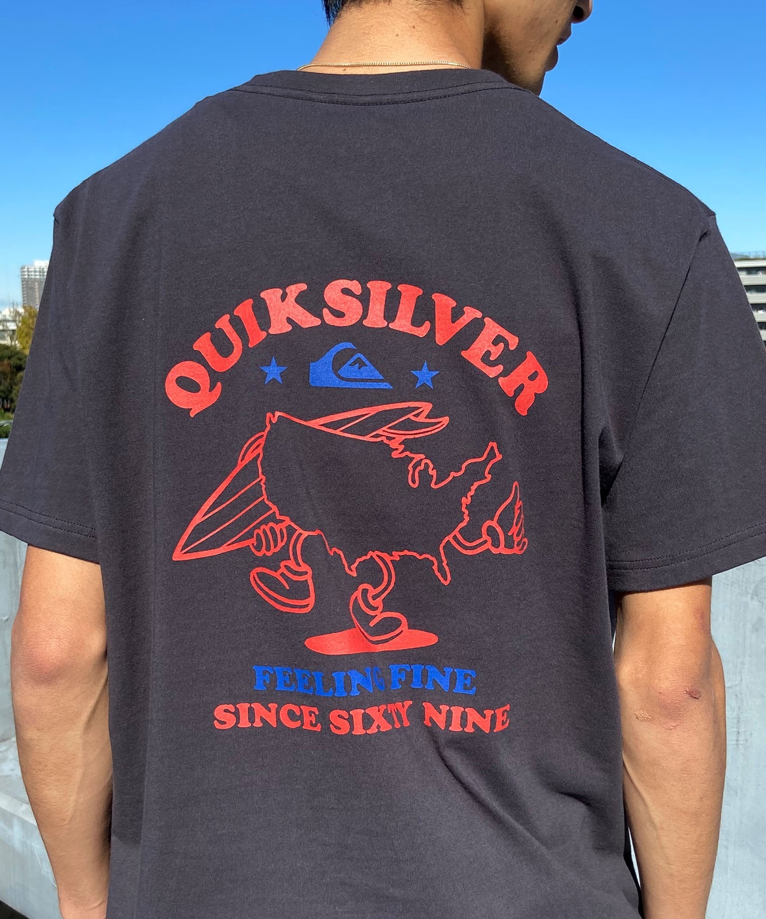 QUIKSILVER クイックシルバー メンズ Ｔシャツ 半袖 バックプリント クルーネック レギュラーフィット QST242002(ORG-M)