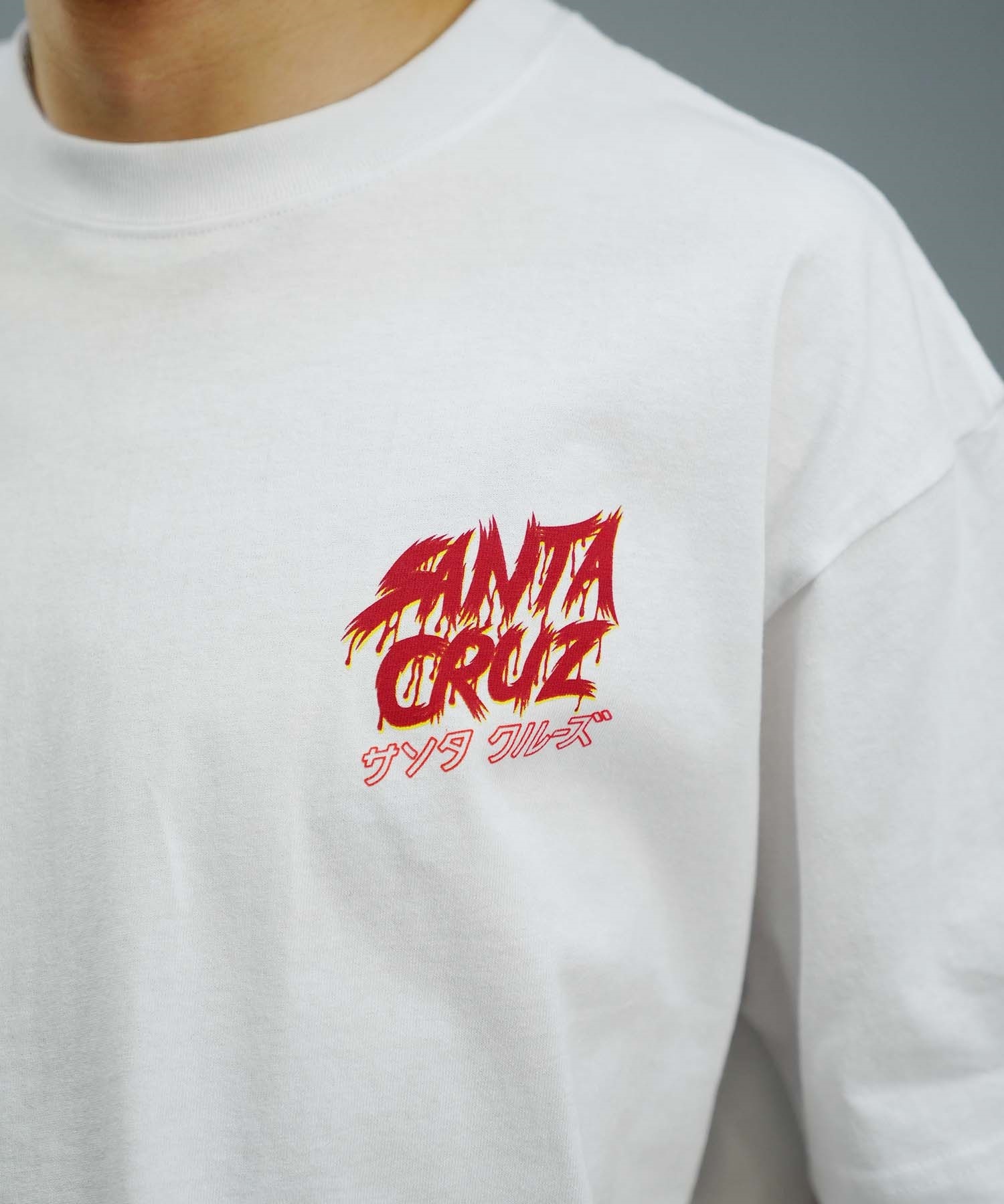 【ムラサキスポーツ限定】 SANTACRUZ サンタクルーズ メンズ 半袖 Tシャツ バックプリント 麻柄 カタカナ 502241417(WHITE-M)