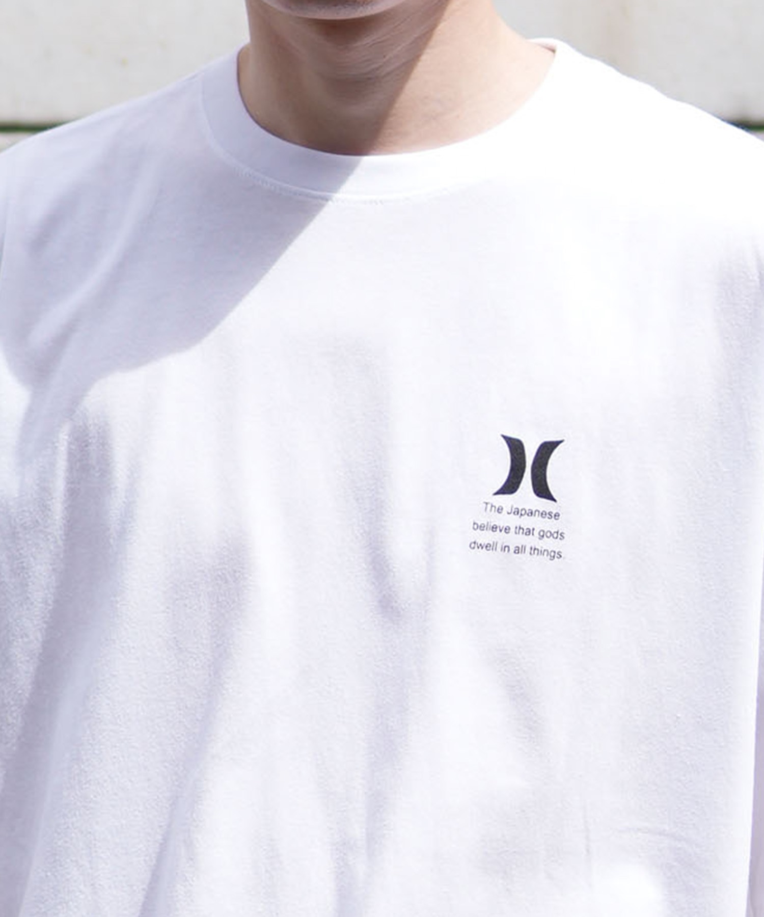 Hurley ハーレー メンズ Tシャツ 半袖 バックプリント 日本限定 23MRKMSS01 ムラサキスポーツ限定(BLK-M)