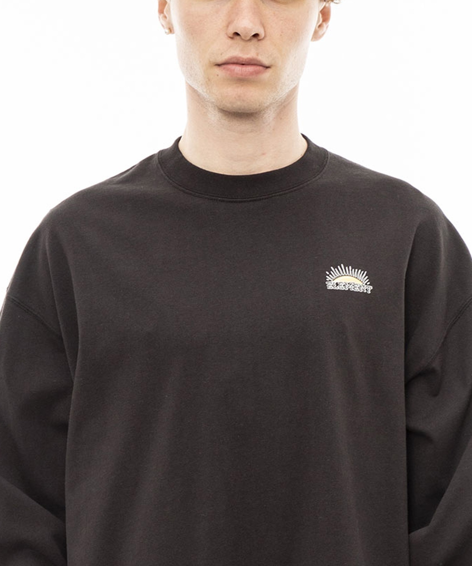 ELEMENT/エレメント TIMBER PHOENIX LS メンズ 長袖 Tシャツ TIMBER