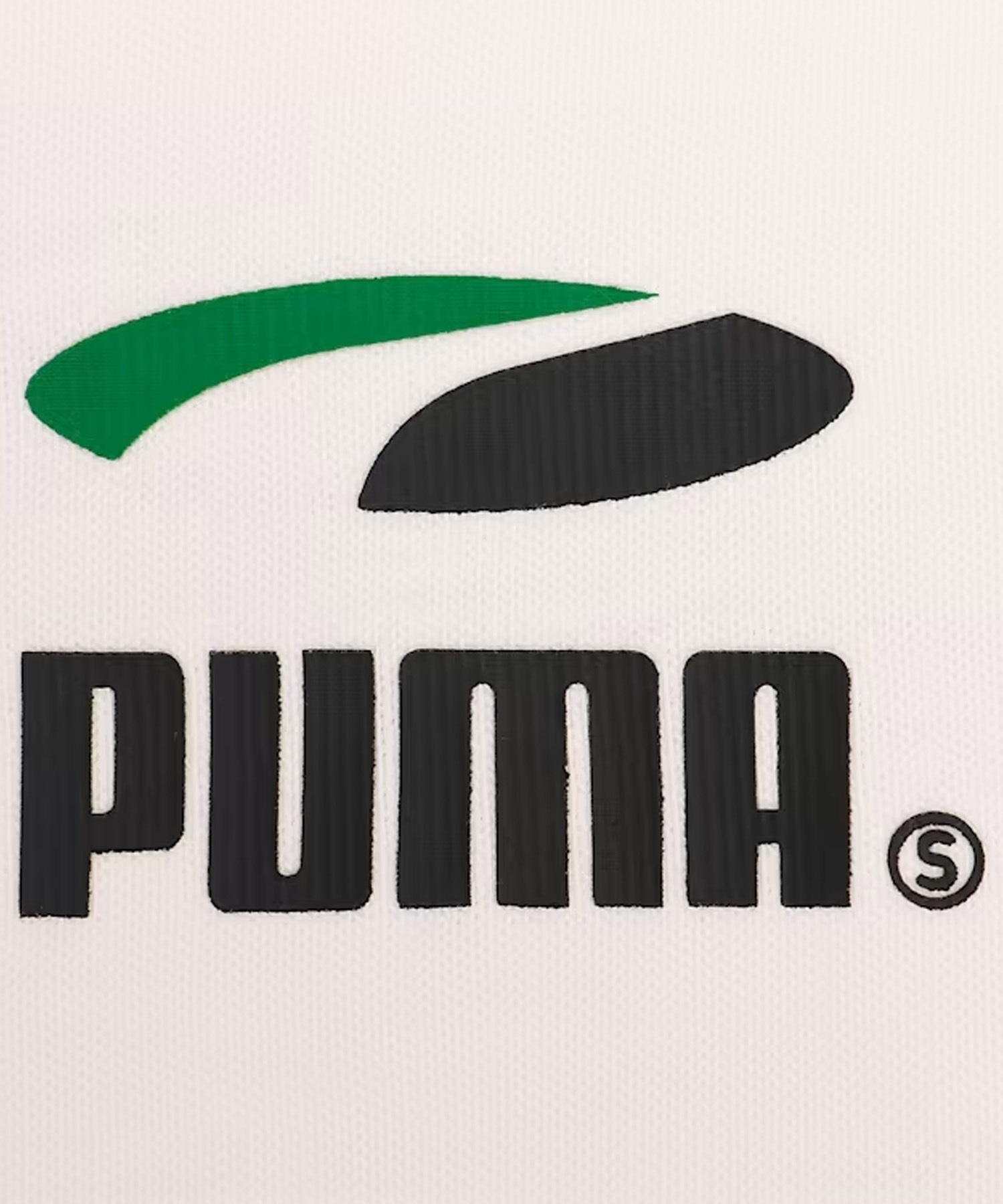PUMA SKATEBOARDING/プーマスケートボーディング メンズ スケートボード Tシャツ CO 長袖 ロンT 623032(02-M)