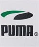 PUMA SKATEBOARDING/プーマスケートボーディング メンズ スケートボード Tシャツ PES 長袖 ロンT 623033(02-S)