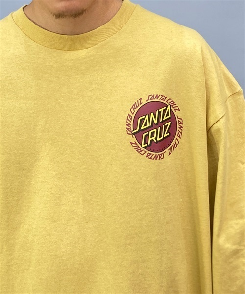 SANTA CRUZ サンタクルーズ 502231404 メンズ トップス カットソー Tシャツ 長袖 KK1 A19(WHITE-M)