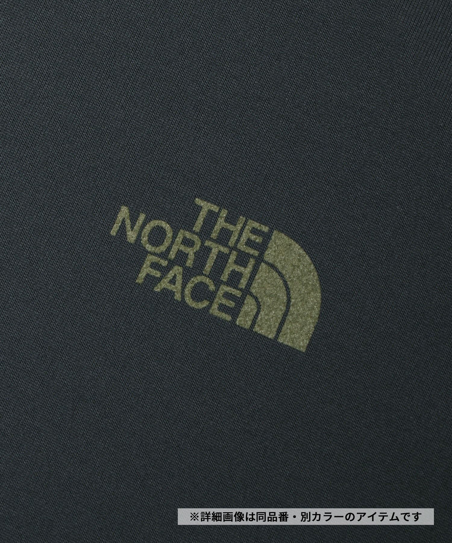 THE NORTH FACE ザ・ノース・フェイス L S TNF BUG FREE TEE